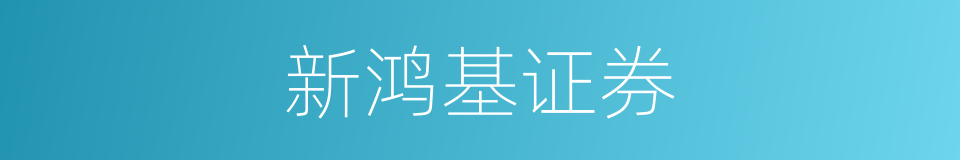 新鸿基证券的同义词