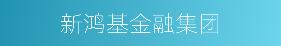 新鸿基金融集团的同义词