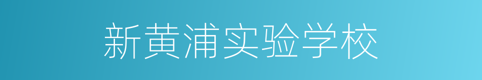 新黄浦实验学校的同义词