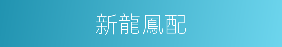 新龍鳳配的同義詞