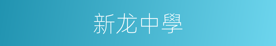 新龙中學的同義詞