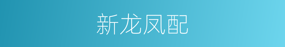 新龙凤配的同义词