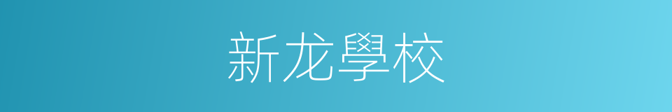 新龙學校的同義詞