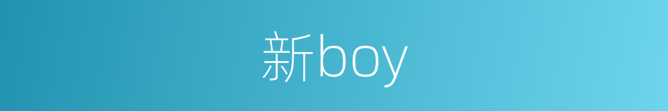 新boy的同义词