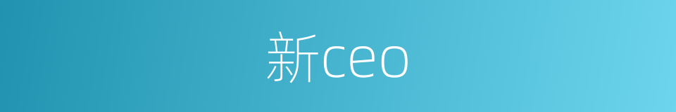 新ceo的同义词