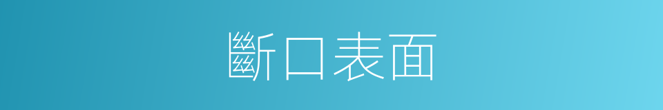 斷口表面的同義詞