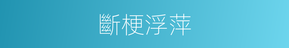 斷梗浮萍的意思