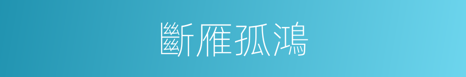 斷雁孤鴻的意思