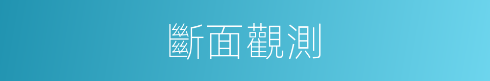 斷面觀測的同義詞