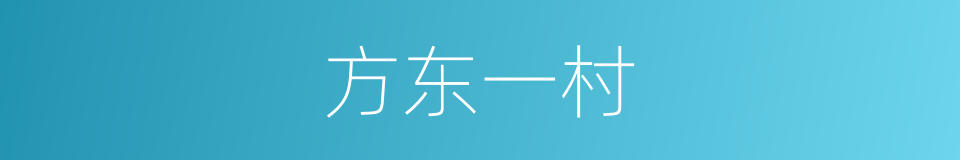 方东一村的同义词