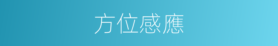 方位感應的同義詞