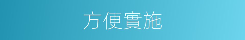 方便實施的同義詞