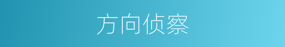 方向侦察的同义词