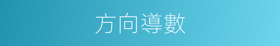 方向導數的意思