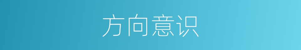 方向意识的同义词