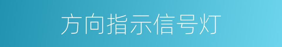 方向指示信号灯的同义词