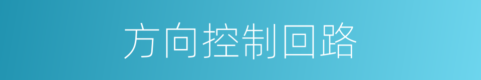 方向控制回路的同义词