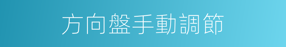 方向盤手動調節的同義詞
