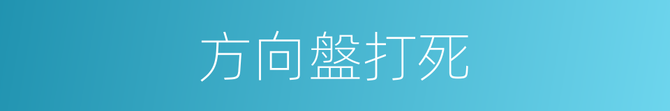 方向盤打死的同義詞