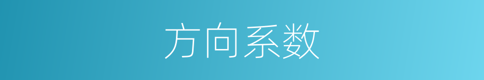 方向系数的同义词