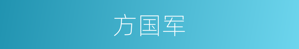 方国军的同义词