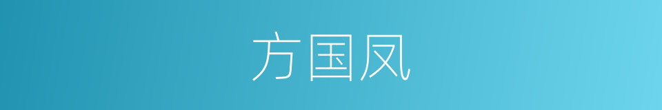 方国凤的同义词