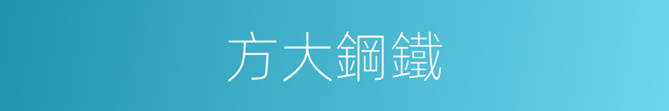 方大鋼鐵的同義詞