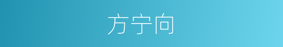方宁向的同义词