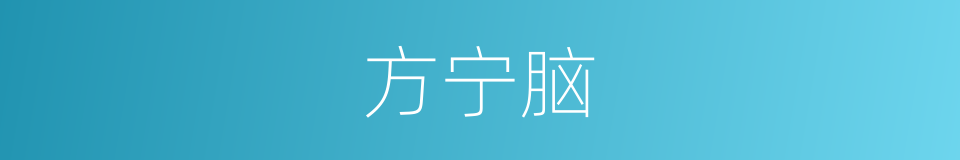 方宁脑的同义词