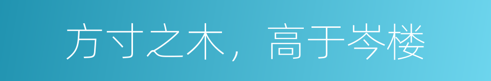 方寸之木，高于岑楼的同义词