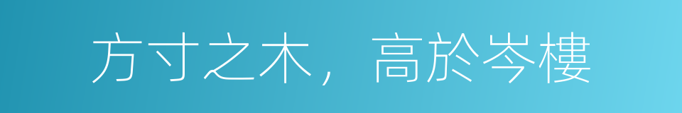方寸之木，高於岑樓的同義詞