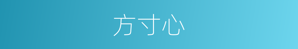 方寸心的意思