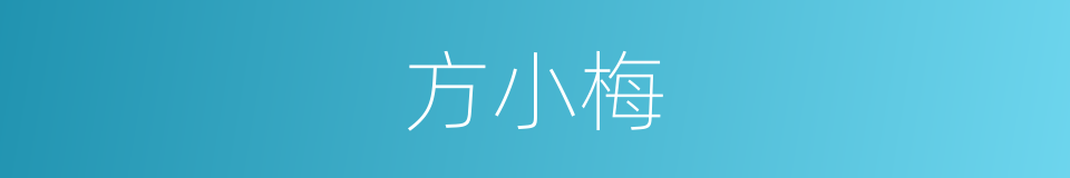 方小梅的同义词