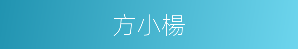 方小楊的同義詞