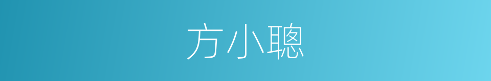 方小聰的同義詞