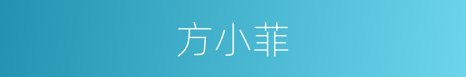 方小菲的同义词