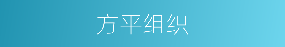 方平组织的同义词