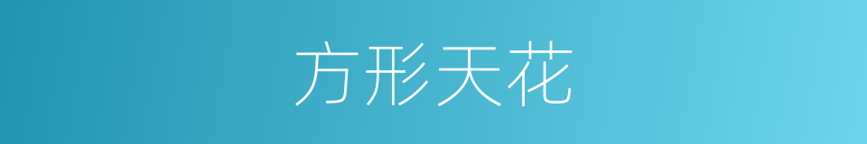 方形天花的同义词