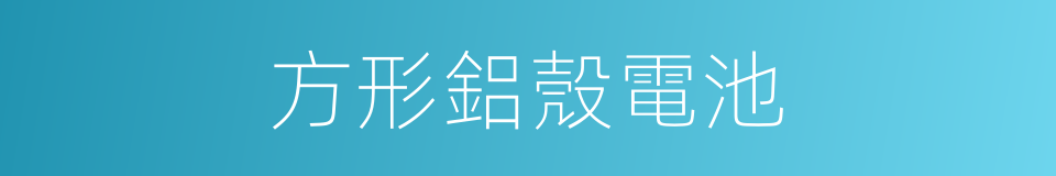 方形鋁殼電池的同義詞