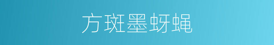 方斑墨蚜蝇的同义词