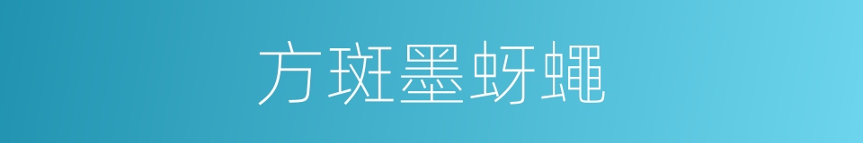 方斑墨蚜蠅的同義詞