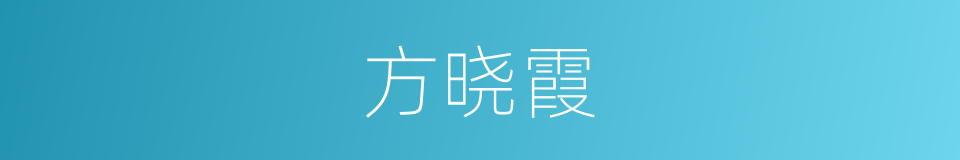 方晓霞的同义词