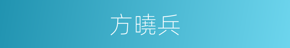 方曉兵的同義詞