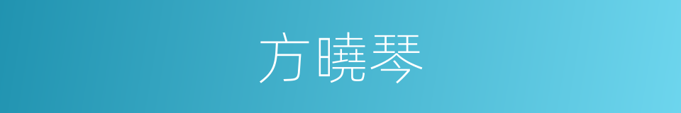 方曉琴的同義詞