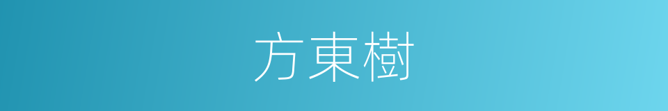 方東樹的同義詞