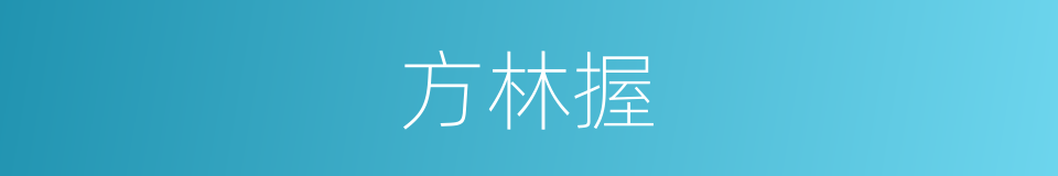 方林握的同义词