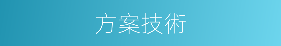 方案技術的同義詞