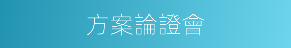 方案論證會的同義詞