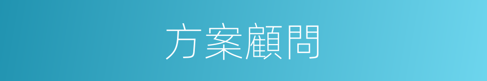 方案顧問的同義詞