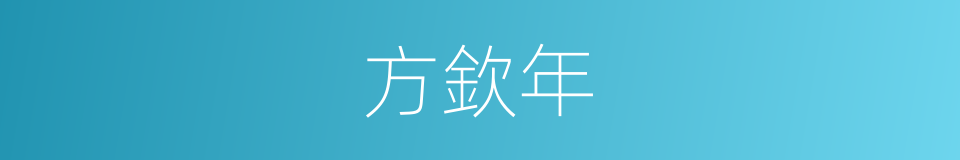 方欽年的同義詞